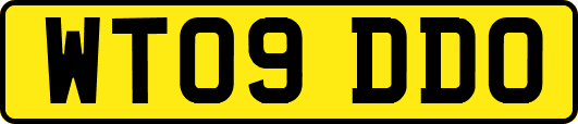WT09DDO