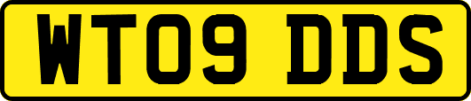 WT09DDS