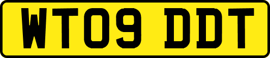 WT09DDT