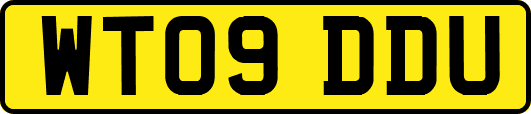 WT09DDU