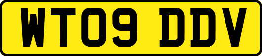 WT09DDV