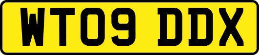 WT09DDX