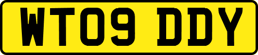 WT09DDY