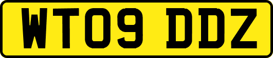 WT09DDZ