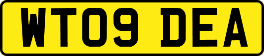 WT09DEA