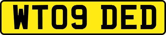 WT09DED
