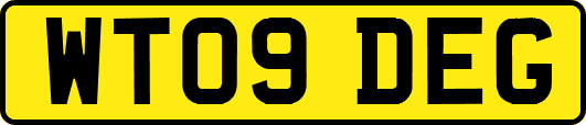 WT09DEG