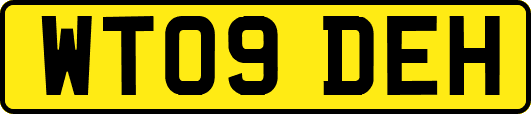 WT09DEH