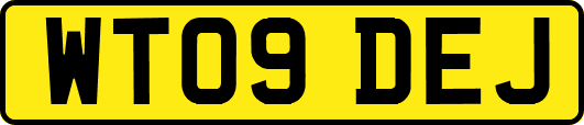 WT09DEJ