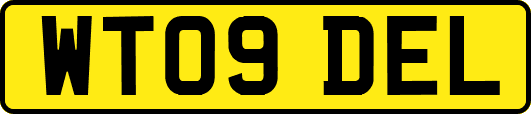 WT09DEL