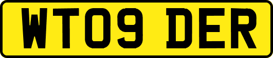 WT09DER