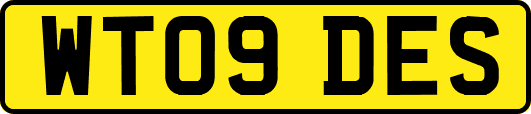 WT09DES