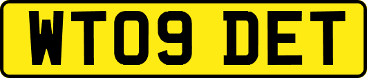 WT09DET