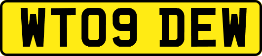 WT09DEW