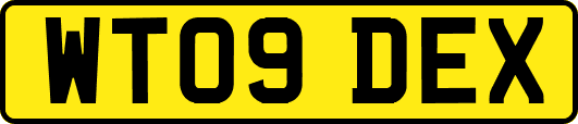 WT09DEX