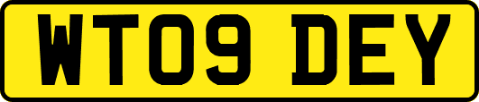 WT09DEY