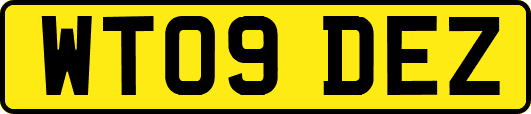WT09DEZ