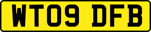 WT09DFB