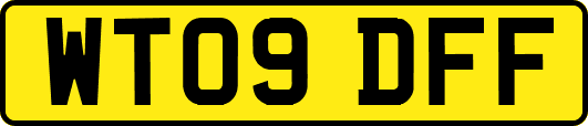 WT09DFF