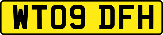 WT09DFH