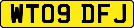 WT09DFJ
