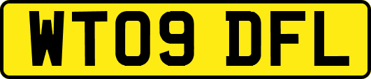 WT09DFL