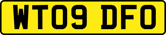 WT09DFO