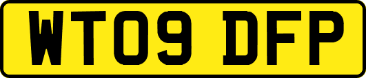 WT09DFP