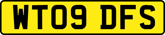 WT09DFS