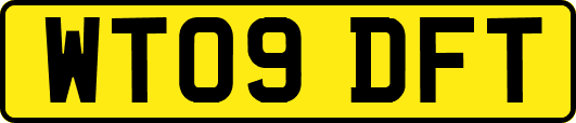 WT09DFT