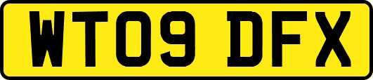 WT09DFX