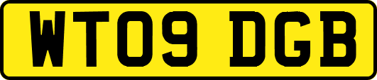 WT09DGB