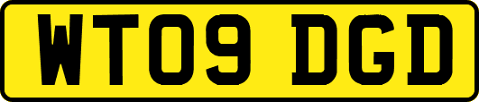 WT09DGD