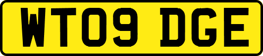 WT09DGE