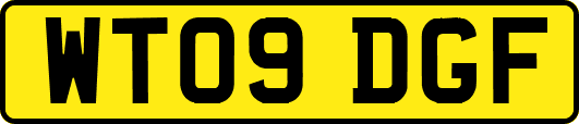 WT09DGF