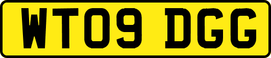WT09DGG