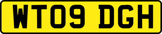 WT09DGH