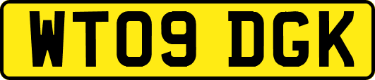 WT09DGK