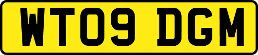 WT09DGM