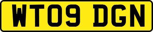 WT09DGN