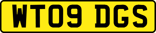 WT09DGS