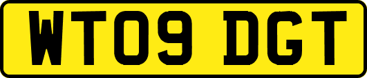 WT09DGT