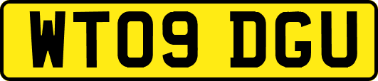 WT09DGU
