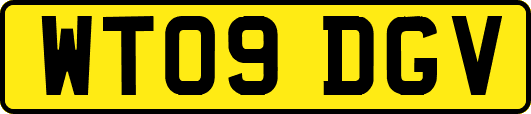 WT09DGV