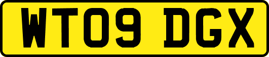 WT09DGX