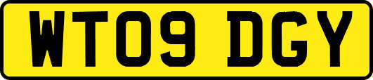 WT09DGY