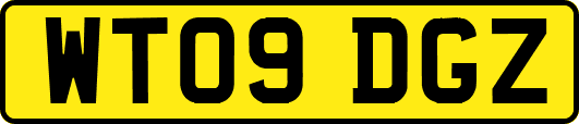 WT09DGZ