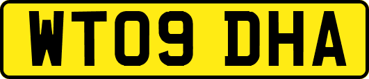 WT09DHA