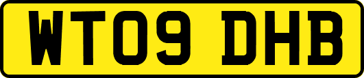 WT09DHB