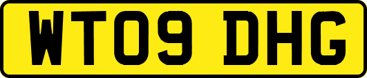 WT09DHG